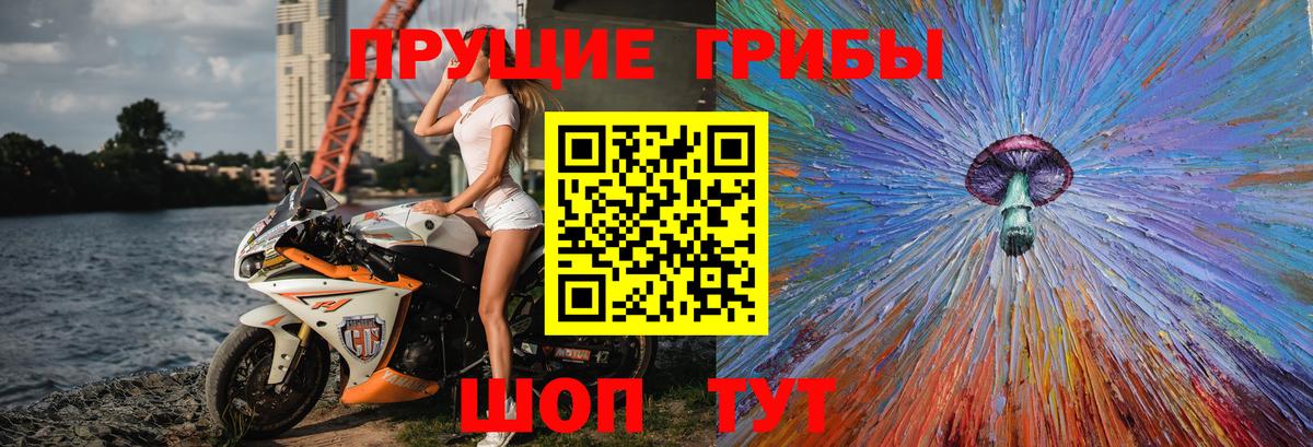 Балашов  Галлюциногенные грибы Cubensis  Псилоцибиновые грибы Psilocybe  Вход с VPN 